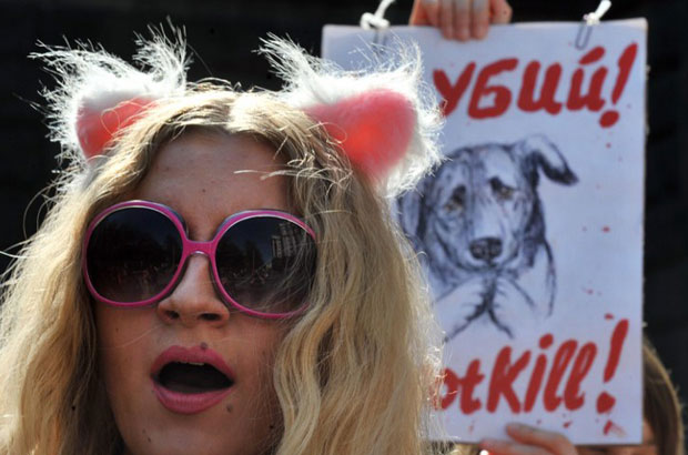 Ativistas protestam pelos direitos dos animais na Ucrânia (Foto: Sergei Supinski/APF)
