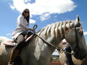 Associação oferece teste de cavalgada a visitantes na Agrishow (Foto:  Erico Andrade/G1)