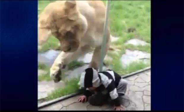 Vídeo foi filmado pela mãe do garoto durante uma visita ao zoológico. (Foto: Reprodução)