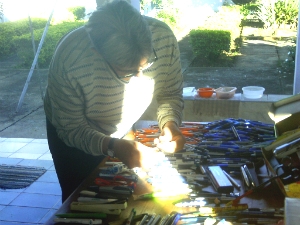 Luiz Fernando Messias Leite com sua coleção canetas (Foto: Eduardo Ribeiro Jr. / G1)