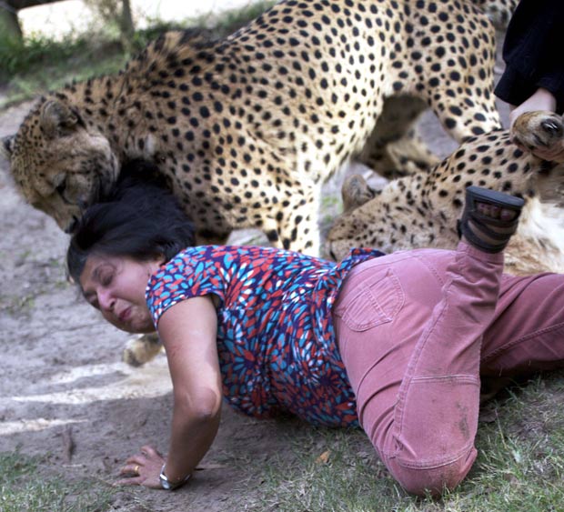 Violet D’Mello foi atacada por dois guepardos em parque na África do Sul. (Foto: Archibald D'Mello/AP)