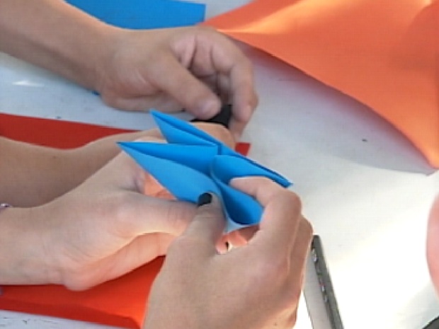 Milenar arte de dobraduras, o origami foi ensinado para o público do FLIV (Foto: Reprodução / TV Tem)