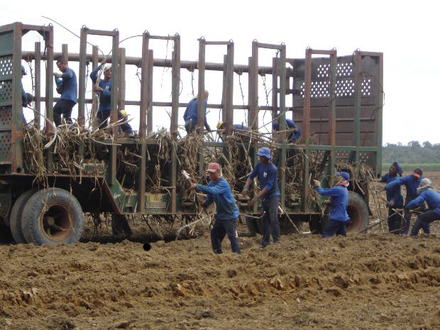 Acordo entre siderurgias e MPF vai combater trabalho escravo (Foto: Evandro Corrêa/OLiberal)