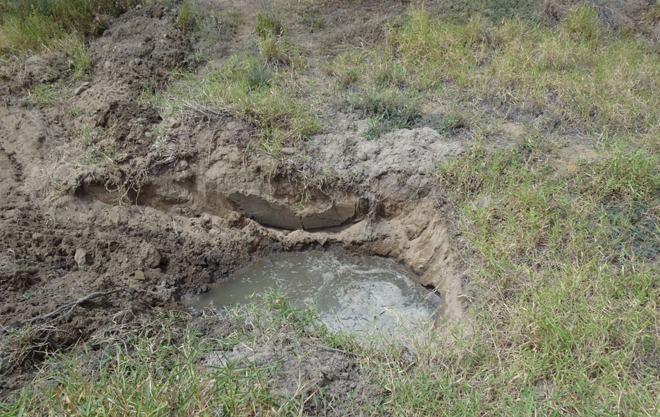 Prefeitura de Lagoa Grande investe na abertura de cacimbas, escavações no terreno em busca de água, mas nem sempre ela é de boa qualidade.