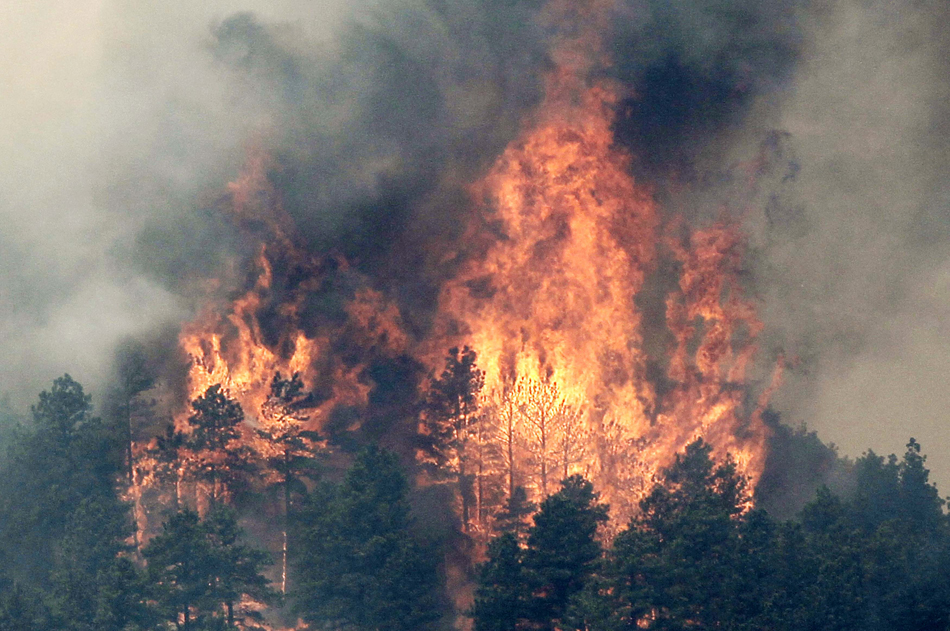 Árvores envolvidas em chamas em parque no Colorado, Estados Unidos. Segundo autoridades locais o fogo já atingiu uma área de 15 mil hectares.