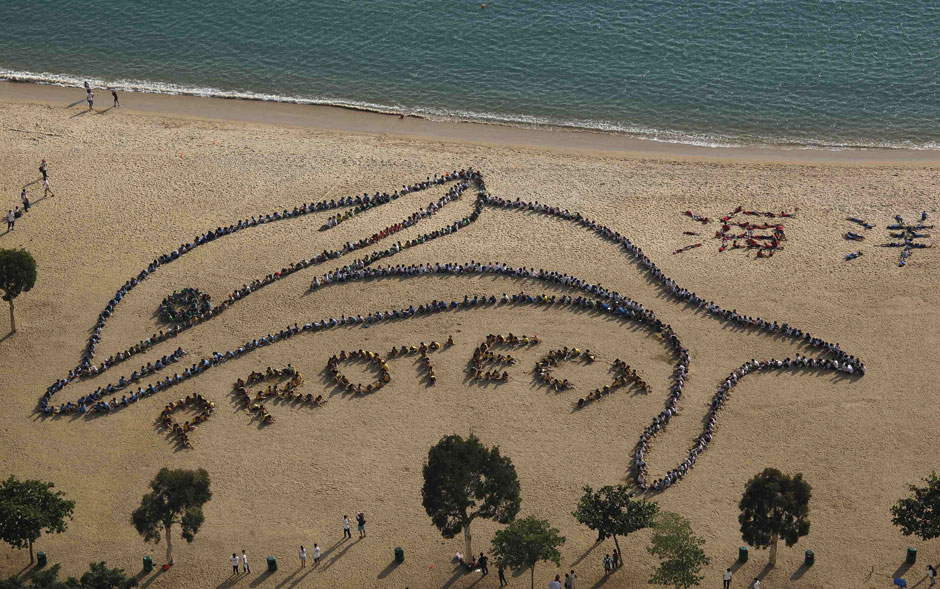 Cerca de 800 crianças e professores de 14 escolas se posicionam em uma praia de Hong Kong e formam o desenho de um golfinho e a palavra 'Proteja'. A ação foi feita para elogiar o governo quanto à decisão de banir a pesca de golfinhos com rede na região.