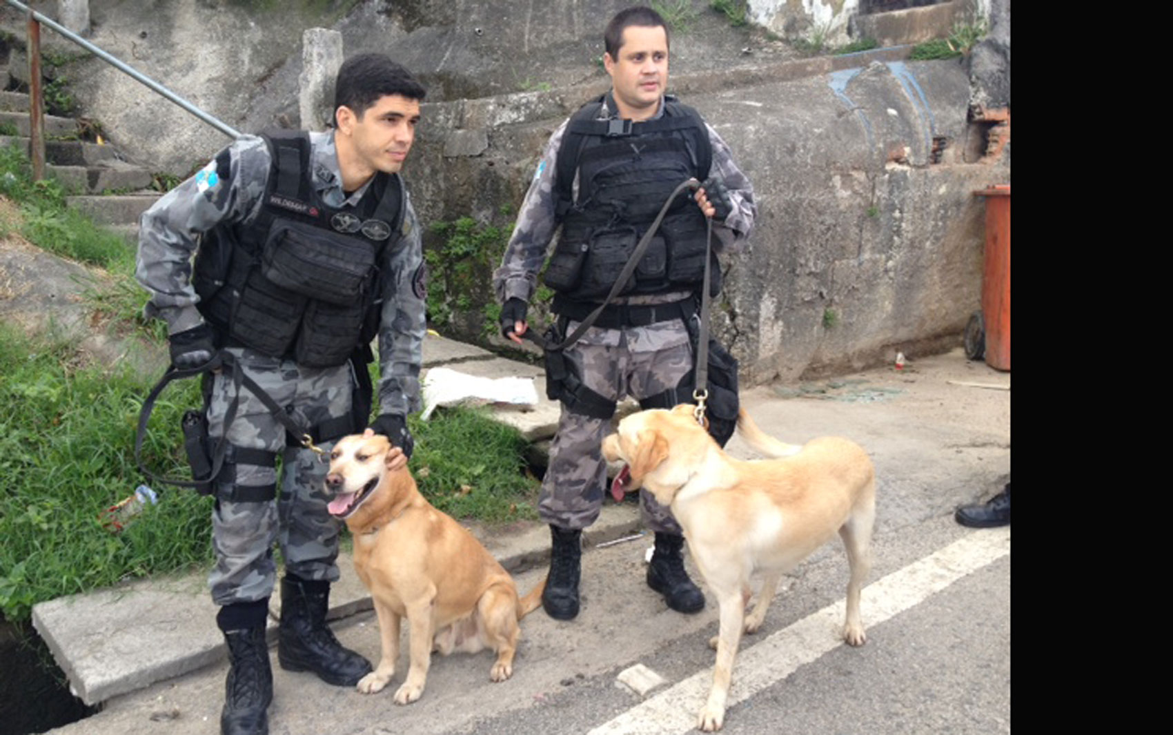 Batalhão de Ação com Cães participou da ocupação do Conjunto de Favelas do Lins