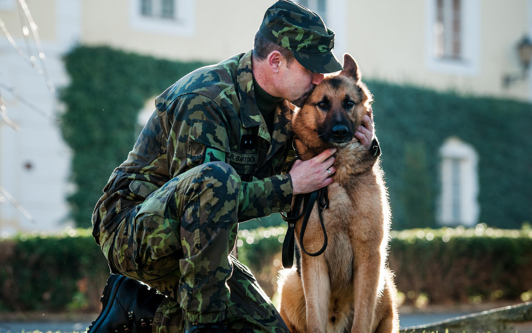 O cão militar Athos, que foi ferido gravemente por foguetes talibãs no Afeganistão em 2012, é condecorado pelo ministro da defesa tcheco, Vlastimil Picek.