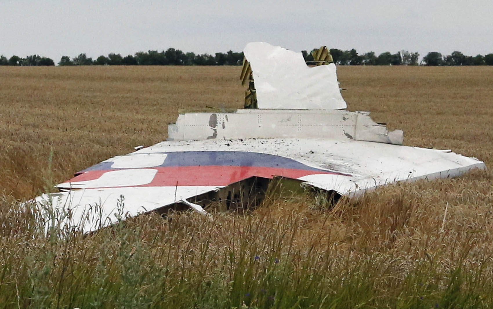 Pedaço da fuselagem do avião da Malaysia que caiu na Ucrânia