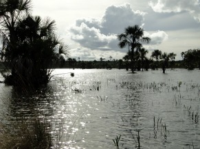 Lagoa Bonita, localizada em Planaltina, Distrito Federal (Foto: Divulgação)