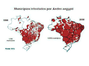 dengue Brasil (Foto: ABC/Divulgação)