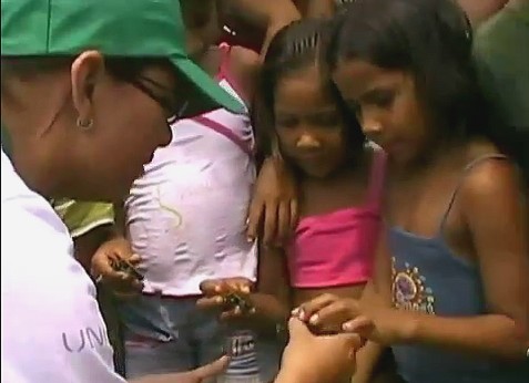 Soltura de filhotes de quelônios em Parintins-AM (Foto: Amazônia TV)