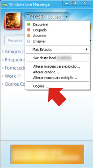 Interface do Windows Live Messenger (Foto: Reprodução/Teresa Furtado)