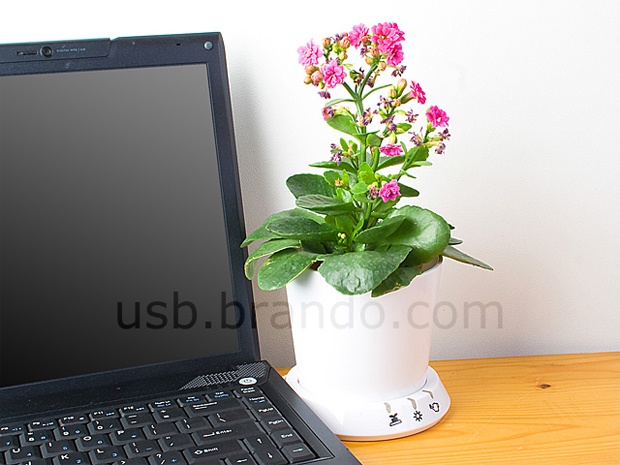 USB Flower Pot (Foto: usb.brando.com)
