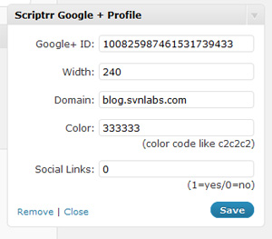Configurando o widget do Google+ (Foto: Reprodução/Teresa Furtado)