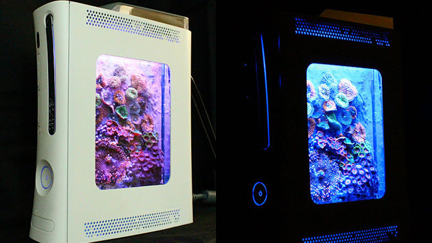 Loja de aquários transforma Xbox 360 em lar para peixes (Foto: Kotaku)