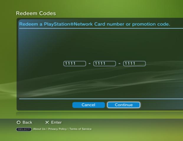 Insira o número do seu PSN Card (Foto: Reprodução)