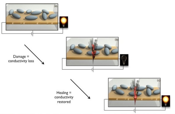 Processo de reabilitação de transmissão de dados e de eletricidade por microcápsulas. (Foto: Divulgação)