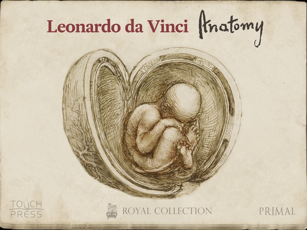 Leonardo da Vinci: Anatomy (Foto: Divulgação)