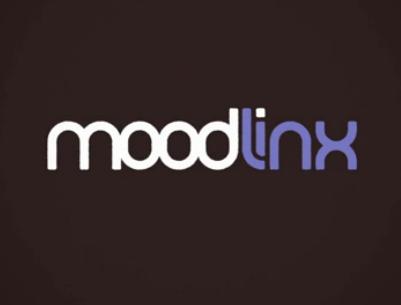 Moodlinkx promete revolução nas buscas pela web (Foto: Reprodução)