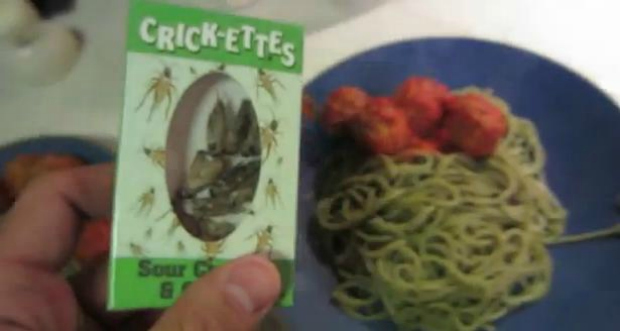 Imagine insetos no seu macarrão com almôndegas (Foto: Reprodução)