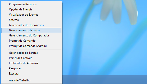 Acessando gerenciador de discos no Windows 8 (Foto: Reprodução/Helito Bijora)