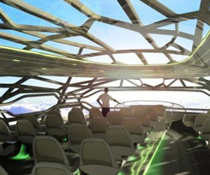 Avião transparente oferecerá visões deslumbrantes (Foto: Reprodução)