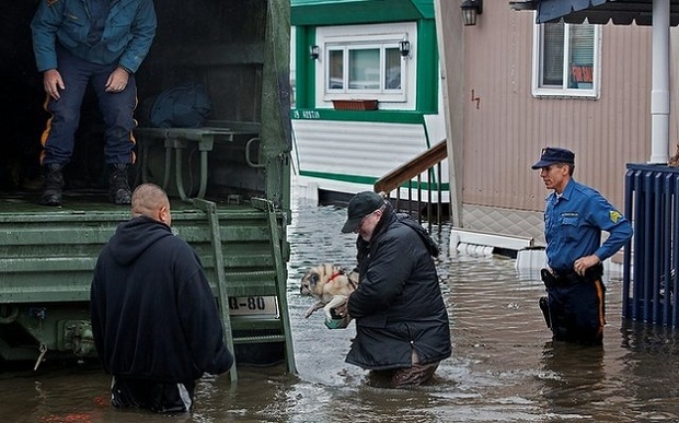 Homem caminha, com seu cão no colo, em direção a um caminhão de resgate (Foto:   washingtontimes.com/Reprodução)