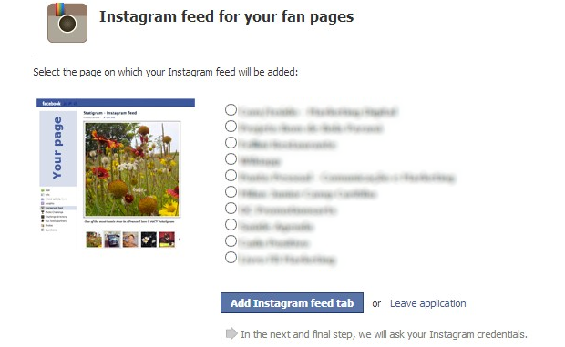 Escolha as páginas que deseja inserir o Instagram
