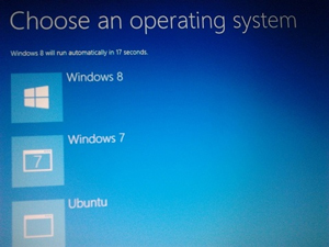 Convivência entre Windows 8 e Linux ainda não é muito segura (Foto: Reprodução)