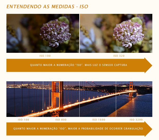 Imagem de flor e ponte fotografadas com diferentes valores ISO (Foto: Reprodução/PhotographersOnUTube e Exposure Guide)