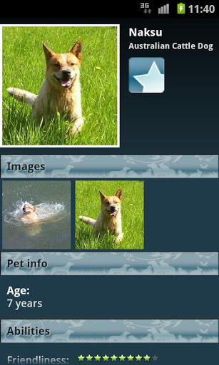 Saiba tudo sobre raças de cães e entre em uma rede social canina com o Dog Breeds (Foto: Reprodução/ Google Play)