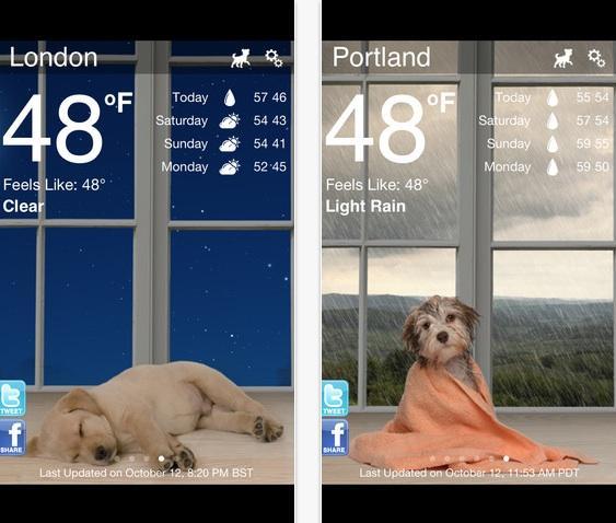 Visualize a previsão do tempo com belas fotos temáticas com o Weather Puppy (Foto: Reprodução/ Google Play)