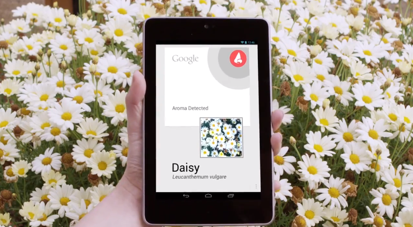 Google Now faz busca pelo cheiro em um tablet Nexus 7 (Foto: Divulgação)