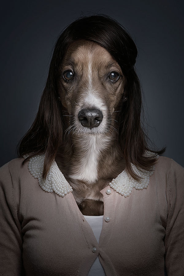 Sebastian Magnani cria serie fotográfica com cachorros vestidos como pessoas. (Foto: Sebastian Magnani)