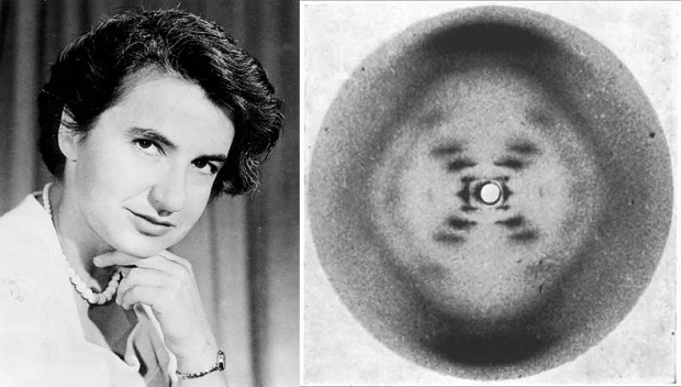 Rosalind Franklin e sua descoberta, a forma da molécula do DNA (Foto: Write Science)