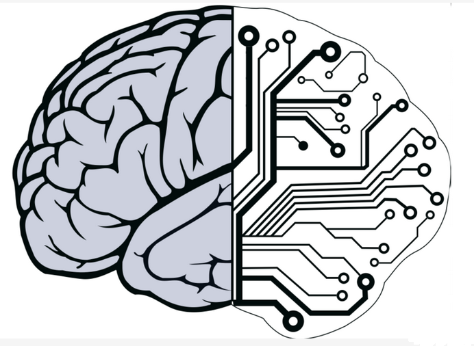 Arquitetura de computador planejada pela IBM pretende imitar o funcionamento do cérebro humano. (Foto: Reprodução / Gizmodo)