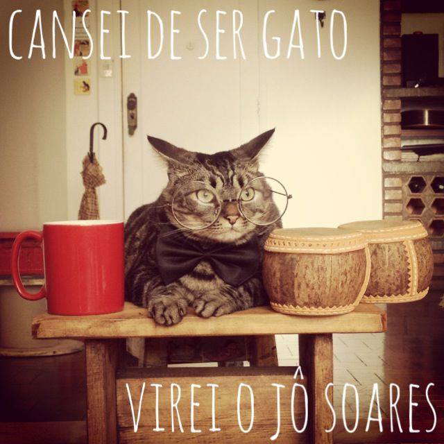 Cansei de ser gato_virei o Jo Soares_11set2013