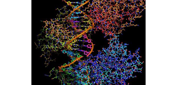 Já é possível guardar informação em moléculas de DNA. No futuro, HDs serão microscópicos (Foto: Reprodução/Business Insider)