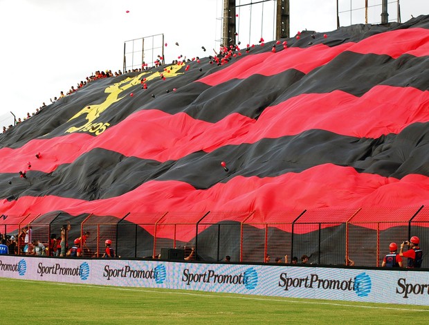 Bandeirão na Ilha do Retiro (Foto: Divulgação/Sport)