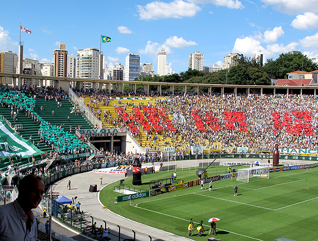 Torcida Palmeiras mosaico (Foto: Carlos Augusto Ferrari / Globoesporte)