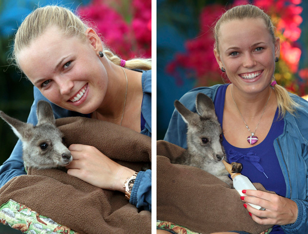 Caroline Wozniacki tênis Australian Open canguru (Foto: Reuters)
