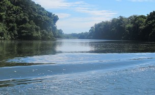 RIo Xingu tem 1,8 mil quilômetros de extensão (Foto: Mariana Oliveira / G1)