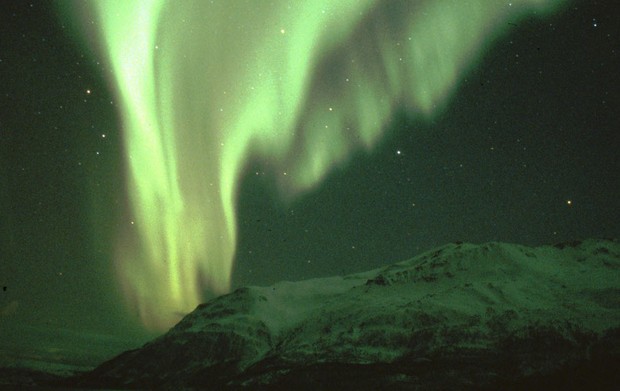 Aurora boreal (Foto: Divulgação/Daniel Japor)