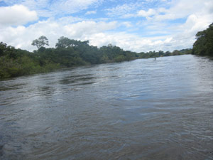 Vazão do Rio Xingu cai muito em época de seca