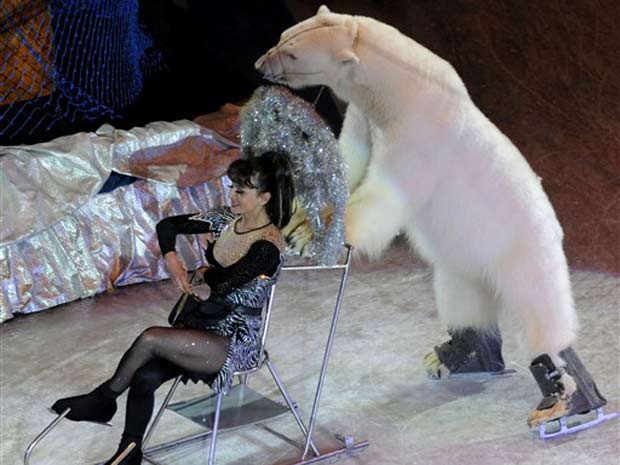 Um urso polar é uma das atrações de um circo de Moscou. O animal levanta o público quando mostra seu talento na patinação no gelo, um esporte muito popular na Rússia. Na foto, o urso aparece empurrando um trenó durante apresentação nesta segunda-feira em 