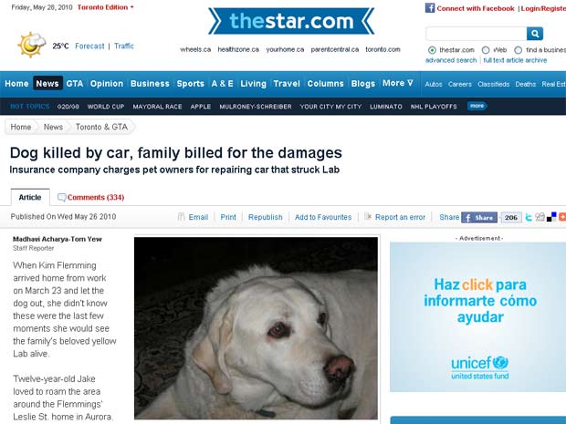 Labrador chamado 'Jake' morreu após ser atropelado em Toronto.