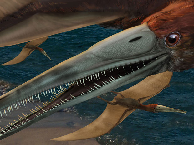 G1 - Pterossauros voavam bem, mas eram derrubados por vento forte
