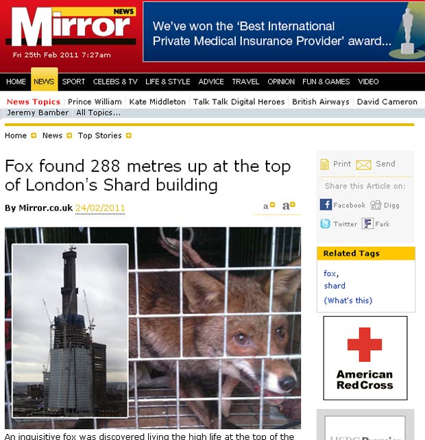 Raposa foi encontrada no topo de prédio de 288 metros de altura. (Foto: Reprodução/Daily Mirror)