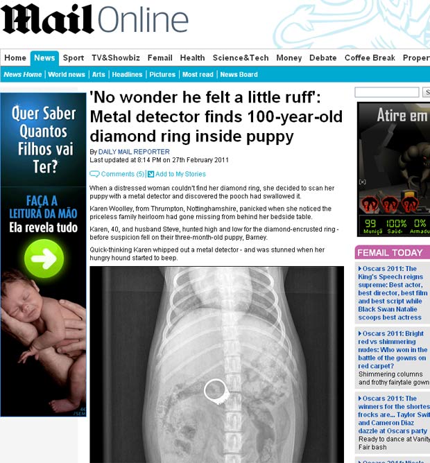 Raio-X mostrou que o anel de diamantes estava no estômago do cão. (Foto: Reprodução/Daily Mail)